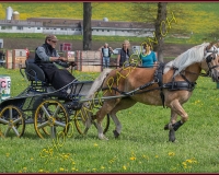 1POSIEUX 0546